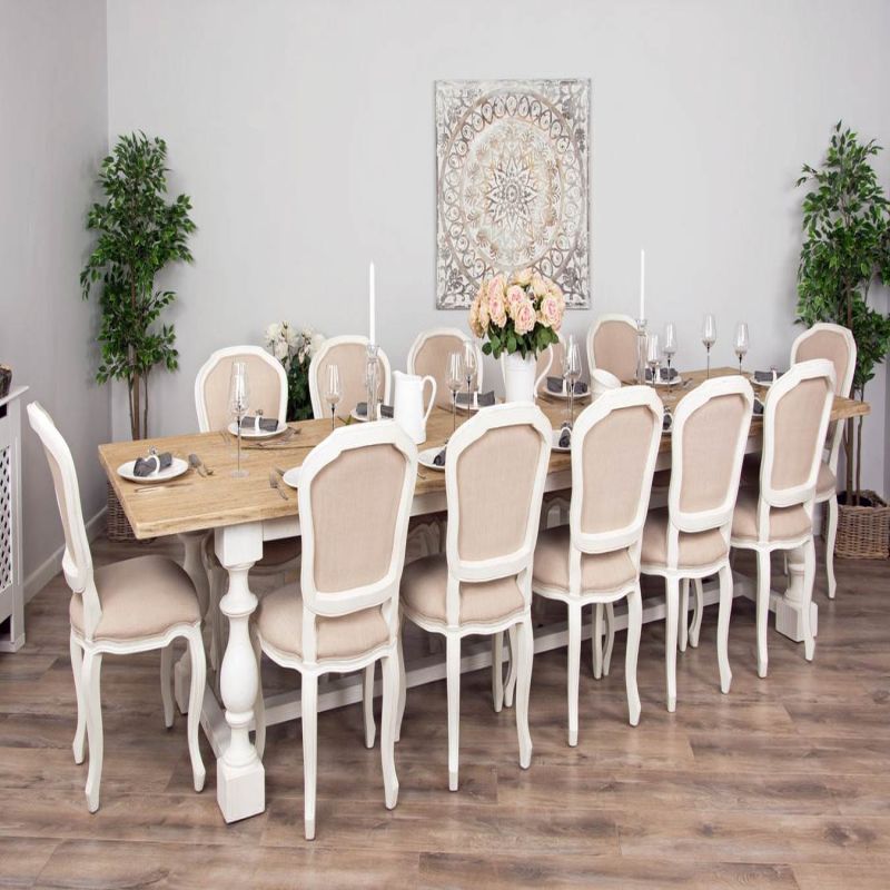 3.6m Ellena Dining Table with 12 Paloma Chairs 